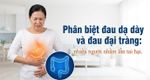Phân biệt đau dạ dày và đau đại tràng: nhiều người nhầm lẫn tai hại