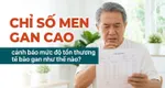 Chỉ số men gan cao cảnh báo mức độ tổn thương tế bào gan như thế nào?