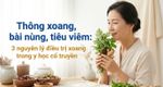 Thông xoang, bài nùng, tiêu viêm: 3 nguyên lý điều trị xoang trong y học cổ truyền