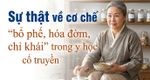 Sự thật về cơ chế "bổ phế, hóa đờm, chỉ khái" trong y học cổ truyền