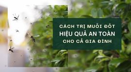 Cách trị muỗi đốt hiệu quả, an toàn cho cả gia đình