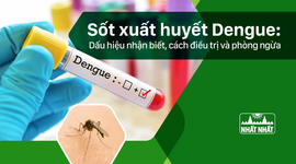 Sốt xuất huyết Dengue: Dấu hiệu nhận biết, cách điều trị và phòng ngừa