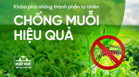 Khám phá những thành phần tự nhiên chống muỗi hiệu quả