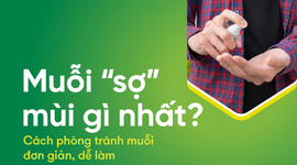 Muỗi “sợ” mùi gì nhất? Cách phòng tránh muỗi đơn giản, dễ làm