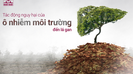 Tác động nguy hại của ô nhiễm môi trường đến lá gan