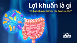 Lợi khuẩn là gì mà được chuyên gia tiêu hóa đánh giá cao?