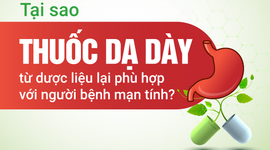 Tại sao thuốc dạ dày từ dược liệu lại phù hợp với người bệnh mạn tính?