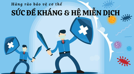 Cách tăng sức đề kháng và hệ miễn dịch: Hàng rào bảo vệ cơ thể