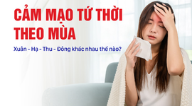 Cảm mạo tứ thời theo mùa Xuân – Hạ – Thu – Đông khác nhau thế nào?