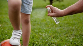 Hướng dẫn cách làm xịt muỗi thảo dược cho trẻ em 