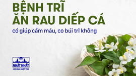Bệnh trĩ ăn rau diếp cá có giúp cầm máu, co búi trĩ không?