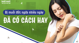 Bị muỗi đốt ngứa nhiều ngày: Đã có cách hay!