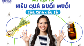 Bất ngờ với hiệu quả đuổi muỗi của tinh dầu sả!