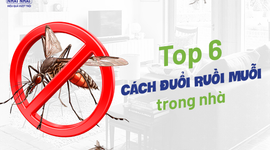 Top 6 cách đuổi ruồi muỗi trong nhà – ai cũng nên biết!
