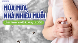 Mùa mưa nhà nhiều muỗi phải làm sao để không bị đốt?