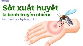 Sốt xuất huyết là bệnh truyền nhiễm: Học nhanh cách phòng tránh