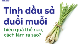 Tinh dầu sả đuổi muỗi hiệu quả thế nào, cách làm ra sao?