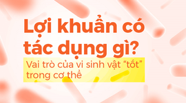Lợi khuẩn có tác dụng gì? Vai trò của vi sinh vật “tốt” trong cơ thể