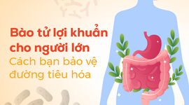 Bào tử lợi khuẩn cho người lớn: Cách bạn bảo vệ đường tiêu hóa