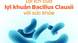 Lợi ích của lợi khuẩn Bacillus Clausii với sức khỏe