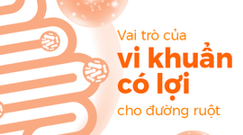 Vai trò của vi khuẩn có lợi cho đường ruột