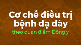 Cơ chế điều trị bệnh dạ dày theo quan điểm Đông y