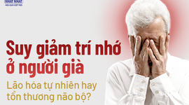 Suy giảm trí nhớ ở người già: Lão hóa tự nhiên hay tổn thương não bộ? 
