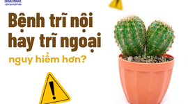 Giải đáp nhanh: Bệnh trĩ nội hay trĩ ngoại nguy hiểm hơn?