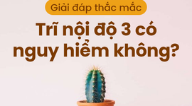 Giải đáp thắc mắc: Trĩ nội độ 3 có nguy hiểm không?