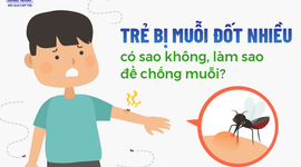 Trẻ bị muỗi đốt nhiều có sao không, làm sao để chống muỗi?