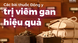 Các bài thuốc Đông y trị viêm gan hiệu quả