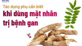 Tác dụng phụ cần biết khi dùng mật nhân trị bệnh gan