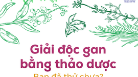Giải độc gan bằng thảo dược: Bạn đã thử chưa?