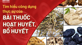 Tìm hiểu công dụng thực sự của bài thuốc hoạt huyết bổ huyết