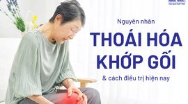 Nguyên nhân thoái hóa khớp gối và cách điều trị hiện nay