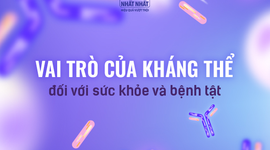 Kháng thể là gì? Vai trò của kháng thể đối với sức khỏe và bệnh tật