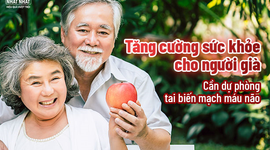 Tăng cường sức khỏe cho người già: Cần dự phòng tai biến mạch máu não