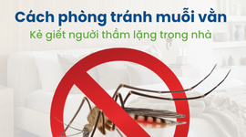 Cách phòng tránh muỗi vằn – Kẻ giết người thầm lặng trong nhà