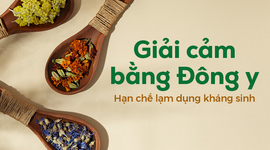 Giải cảm bằng Đông y: Hạn chế lạm dụng kháng sinh