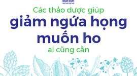 Các thảo dược giúp giảm ngứa họng muốn ho ai cũng cần 