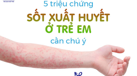 5 triệu chứng sốt xuất huyết ở trẻ em cần chú ý