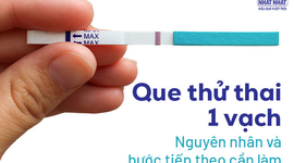 Que thử thai 1 vạch: Nguyên nhân và bước tiếp theo cần làm