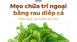 Mẹo chữa trĩ ngoại bằng rau diếp cá hiệu quả, an toàn tại nhà