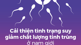 Cải thiện tình trạng suy giảm chất lượng tinh trùng ở nam giới