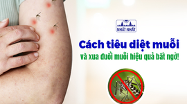 Cách tiêu diệt muỗi và xua đuổi muỗi hiệu quả bất ngờ!