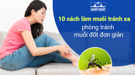 10 cách làm muỗi tránh xa, phòng tránh muỗi đốt đơn giản