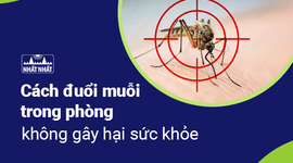 Cách đuổi muỗi trong phòng không gây hại sức khỏe