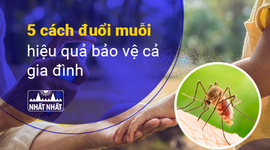 5 cách đuổi muỗi hiệu quả bảo vệ cả gia đình