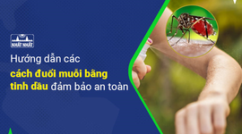 Hướng dẫn các cách đuổi muỗi bằng tinh dầu đảm bảo an toàn
