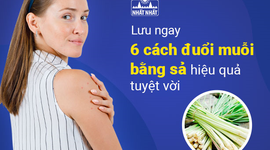 Lưu ngay 6 cách đuổi muỗi bằng sả hiệu quả tuyệt vời